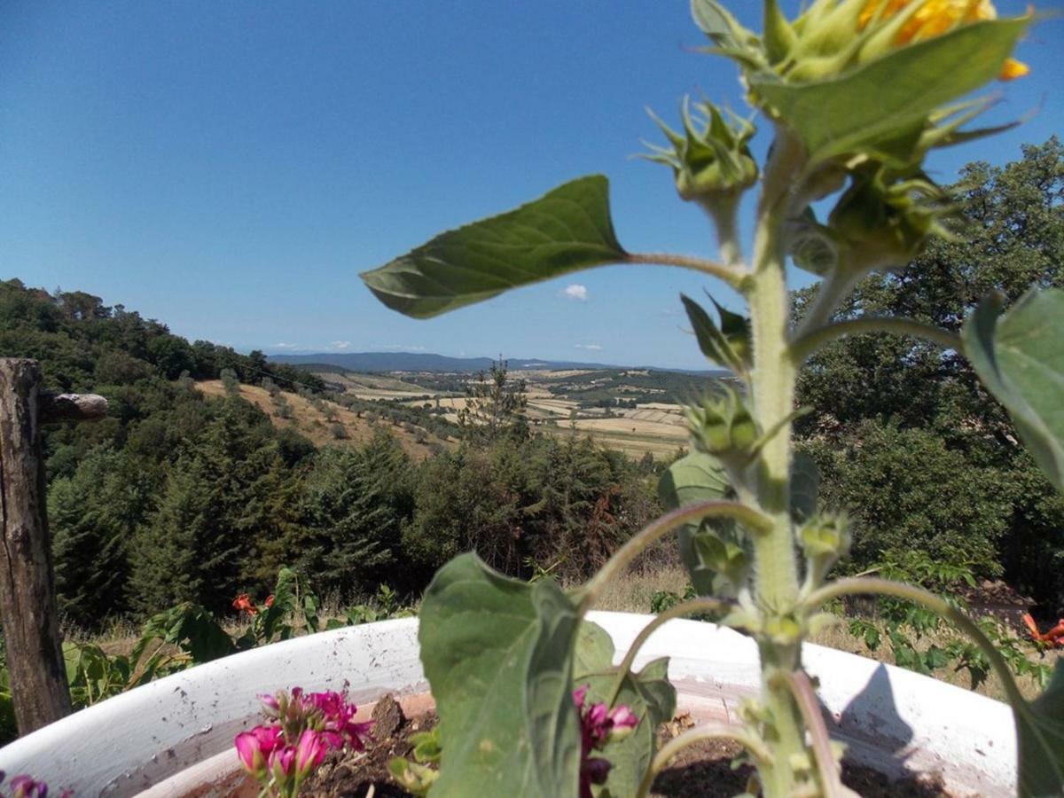 Panorama-Ferien-Toscana Your Cozy And Fully Equipped Vacation Home Massa Marittima Extérieur photo